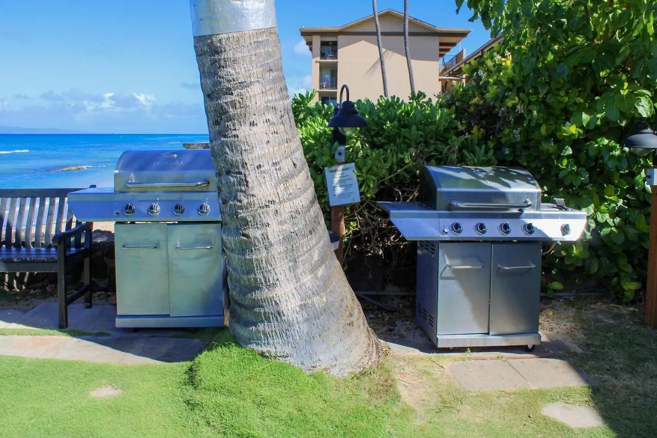 Hale Kai 111 Apartment Kahana